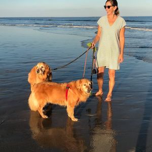 Meet your Posher, Jane